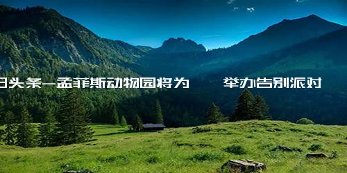 今日头条-孟菲斯动物园将为丫丫举办告别派对 8日起移交中方